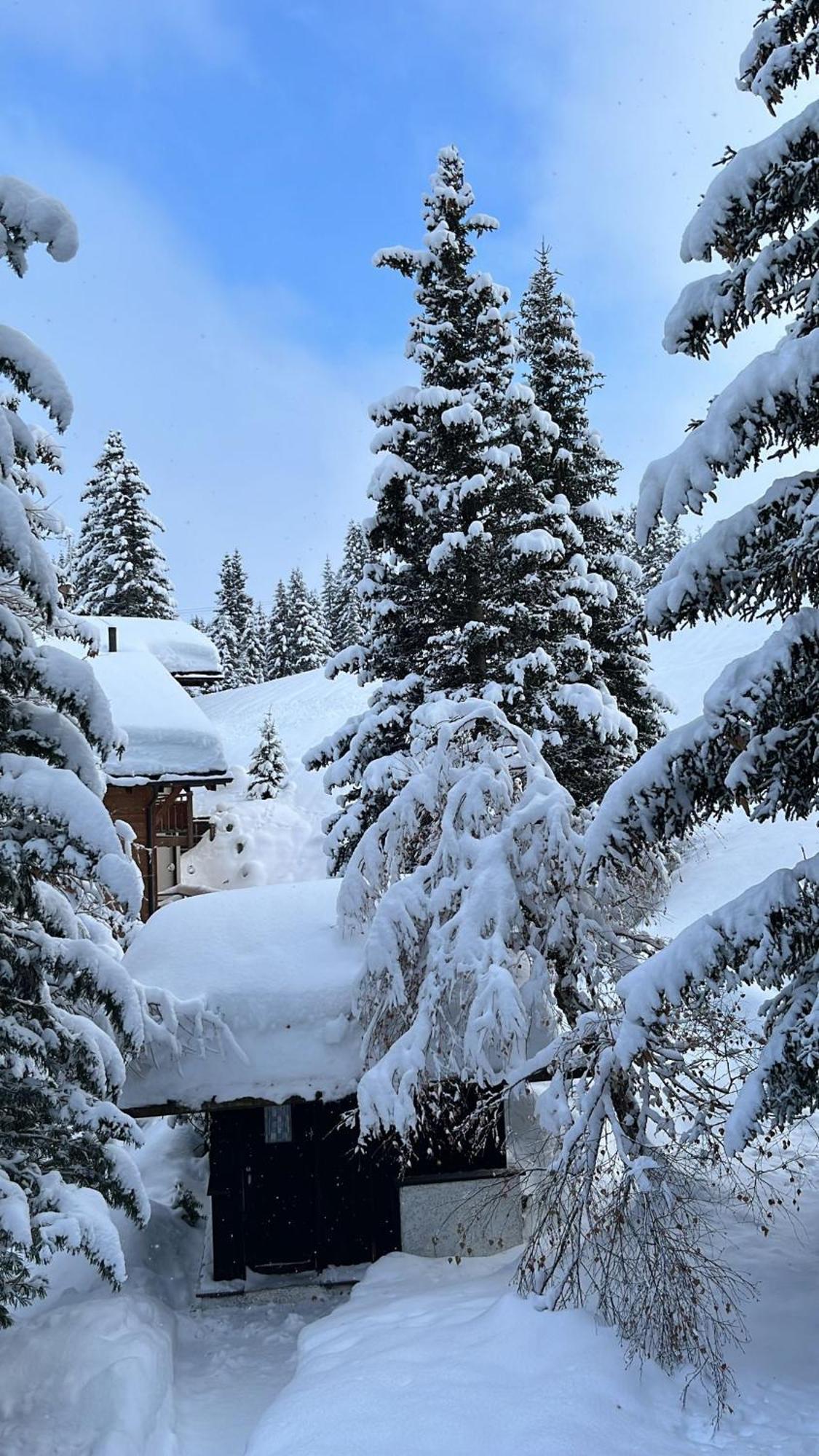 Chalet Baur アローザ エクステリア 写真